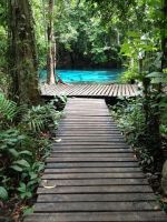 siamsmiletravel-cycling jungle